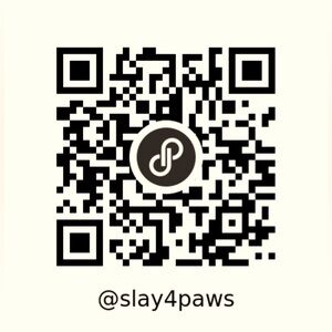 8 jumping beans fleece colorblock blue green pullover jacket coat boys girls